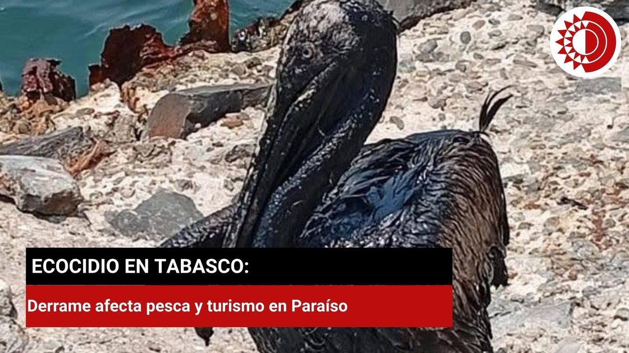 Ecocidio en Tabasco: derrame de hidrocarburo afecta actividad turística y pesquera