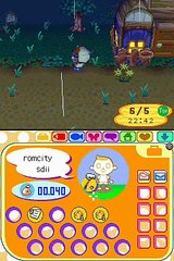 Animal Crossing: Wild World online multiplayer - nds