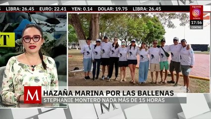 Atleta mexicana nadó en mar abierto por la conservación de la ballena jorobada | Milenio Hábitat