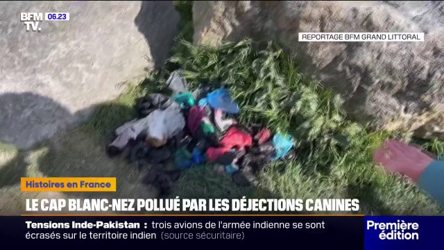Pas-de-Calais: au Cap Blanc-Nez, touristes et autorités locales dénoncent la pollution des déjections canines