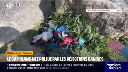 Pas-de-Calais: au Cap Blanc-Nez, touristes et autorités locales dénoncent la pollution des déjections canines