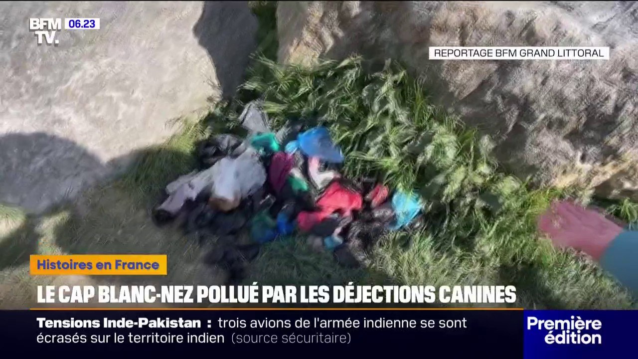 Pas-de-Calais: au Cap Blanc-Nez, touristes et autorités locales dénoncent la pollution des déjections canines