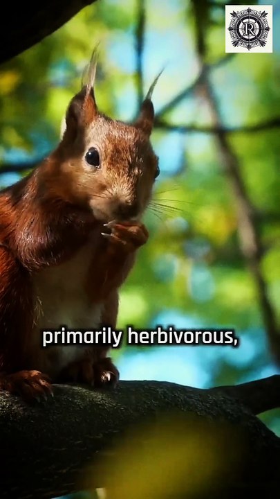 Nature's New Unexpected Predator: Squirrels Eating Animals! | @researchatory