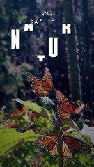 Green and White Nature Mobile Video