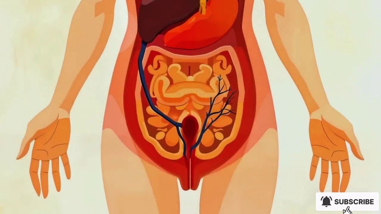 Pregnancy stage from conception of delivery #PregnancyJourney  #BabyOnTheWay  #PregnantLife  #MomsToBe  #PregnancyGlow  #BumpStyle  #BumpUpdate  #PregnancyAnnouncement  #DueIn2025 (or your due month/year)