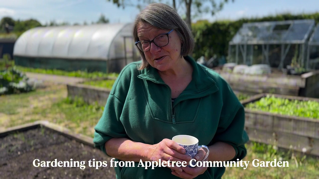 Gardening tips 2025: Best eco-friendly gardening tips