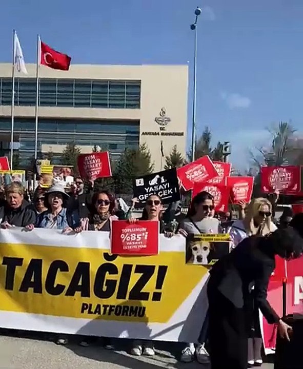 Gündem, Hayvanları Koruma Kanunu görüşmesi: Hak savunucuları AYM önünde toplandı
