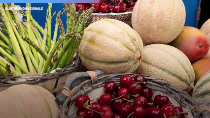 Un ponte tra produzione e commercializzazione: intervista a Paolo Piccinni