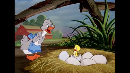 Tom & Jerry _ Is Jerry Taking Care of Tom_ _ Classic Cartoon