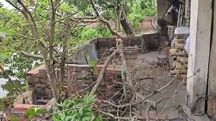 Một Ngày Không Đi Quay, Bất Ngờ Bắt Được Cá To.