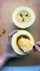 Fine food √Food √ Food √ FOOD