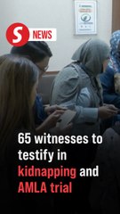 65 witnesses to be called in Palestinian man kidnapping case, AMLA