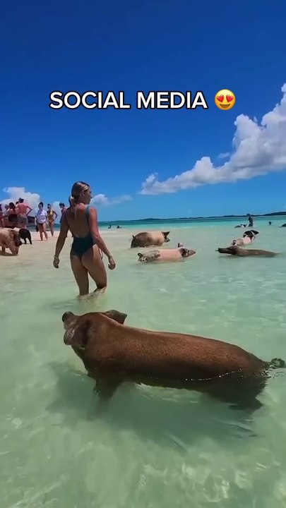 Places In Real Life #travel #explore #adventure #destinations