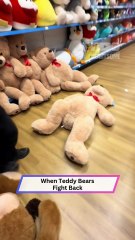 She Tried to Surf a Teddy Bear… and Faceplanted HARD! 🧸💥😂