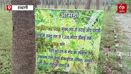 उत्तराखंड में तैयार हुआ उत्तर भारत का पहला गोंद गार्डन,  मालामाल हो रहे काश्तकार