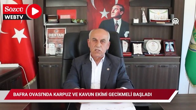 Bafra Ovası'nda karpuz ve kavun ekimi gecikmeli başladı