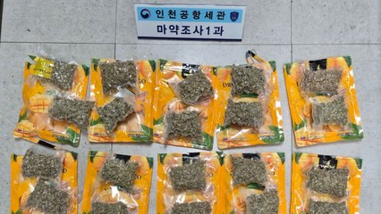 건망고 속에 대마초 3kg...밀반입 시도 태국인 2명 구속 / YTN