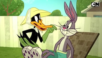 Looney Tune's🐰 | Coyote's Craziest Bug's Plan! | Classic Cartoon Compilation