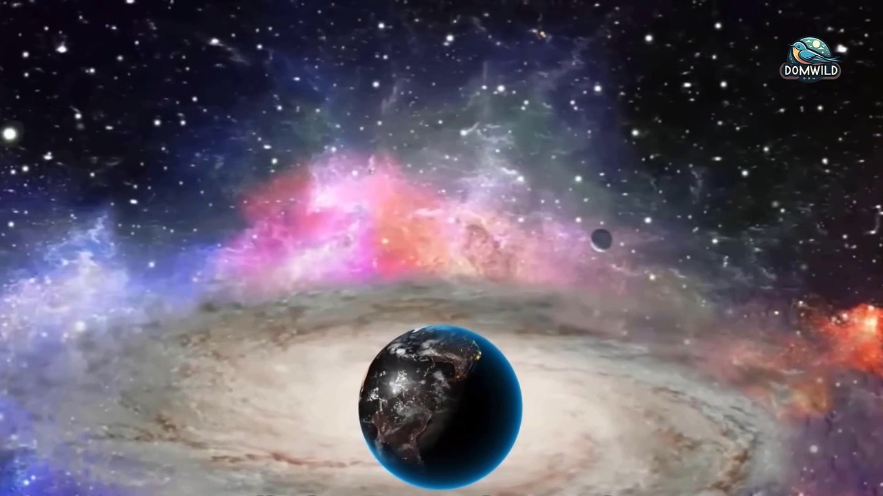 What Dolphins Know That We Don’t: What Secrets Are They Hiding?