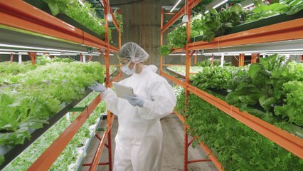 Agritech: Il 60% degli Investimenti in Vertical Farming 🚜