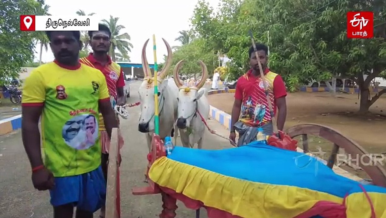 களைக்கட்டிய மாட்டு - குதிரை வண்டி பந்தயங்கள் - உற்சாகமாக பார்த்து ரசித்த பொதுமக்கள்!