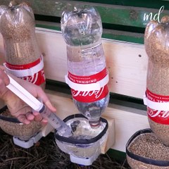 3 New ways you can build a chicken feeder! 🐤