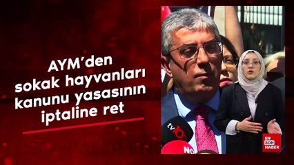 AYM'den sokak hayvanları kanunu yasasının iptaline ret