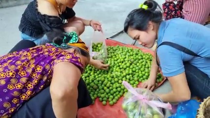 "Green Horizons: The Future of Smart Farming"