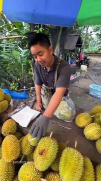 Mabuk Durian