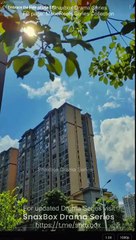 Embrace the Flow of Life Full Chinese Drama