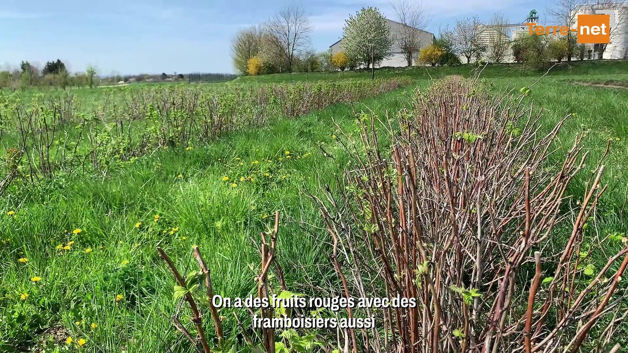 En Bourgogne, trouver les cultures adaptées au climat de demain