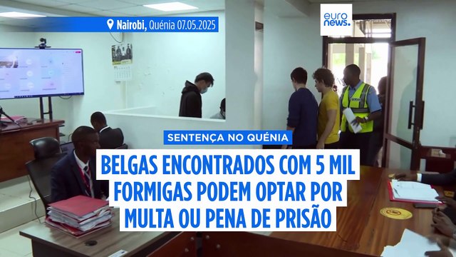 Adolescentes belgas encontrados com 5.000 formigas no Quénia condenados a multa de 7.700 dólares ou um ano de prisão