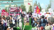 AYM'nin sahipsiz hayvanlarla ilgili kararı protesto edildi