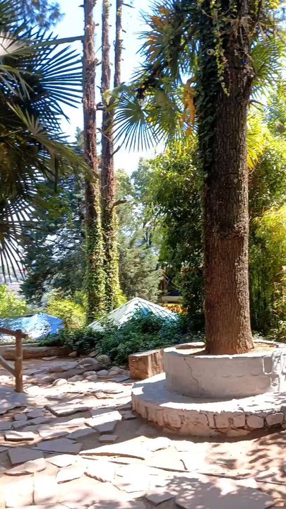beautiful park #nature #dailymotionvideo