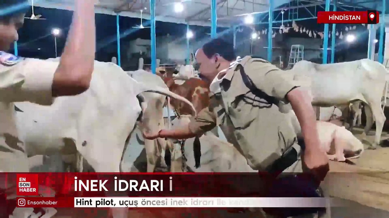 Hint pilot, uçuş öncesi inek idrarı ile kendisini kutsadı