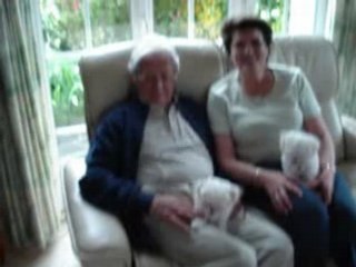 bichon maltais du roc skeyel