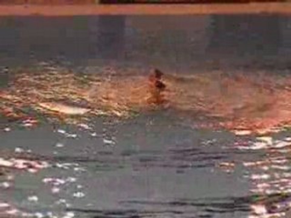 Championnat d'Europe Juniors 2008 Duo russe