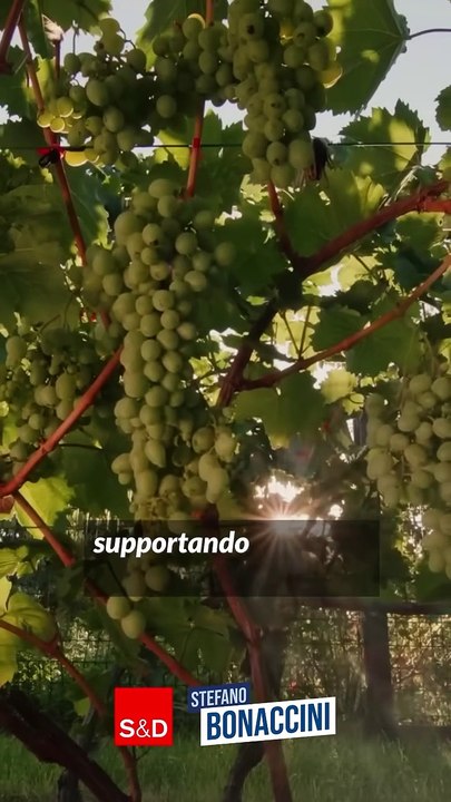 Bonaccini - Buone notizie per il mondo agricolo...