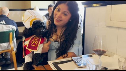 Habemus puppy: il cane Romeo vestito da papa fa sorridere