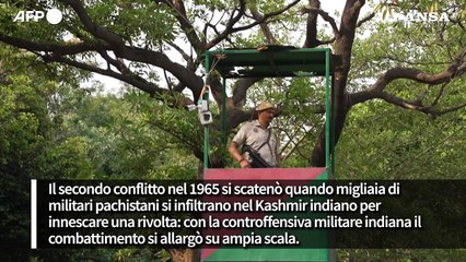 India-Pakistan, 70 anni di ostilità. Oggi rischio nucleare