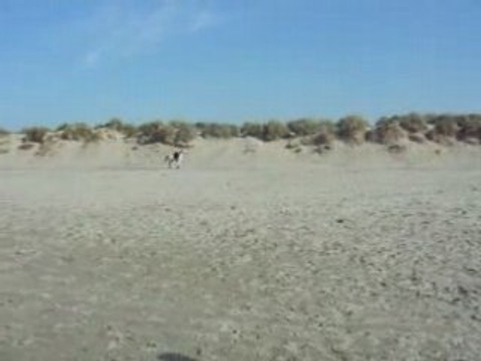 DSCN0697
