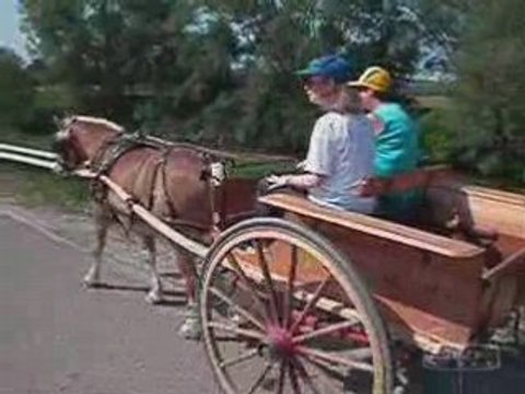 Balade avec attelages