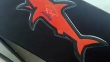 Shark sticker