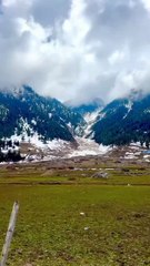 please follow and share