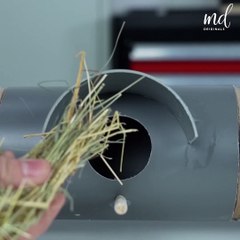 2 Amazing DIY ideas to build a Bird House