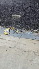 Preocupación en Los Mina por asfaltado irregular en la calle Juan Vásquez