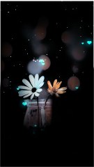 اے زندگی تیرے اس تحفے کا شکریہ