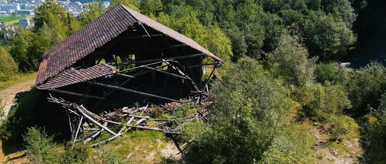 Sandcastle - The Secret Life Of Potter Wasps | movie | 2025 | Official Trailer