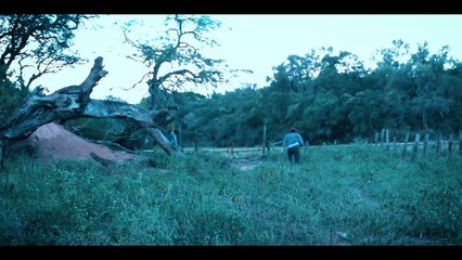 Patada de yegua - Tráiler