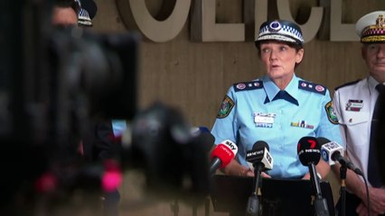 NSW Police Commissioner Karen Webb resigns
